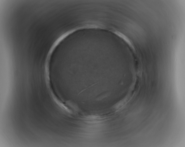 X0000113951120200910021500