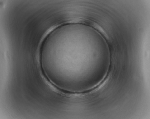 X0000113951122200910021500
