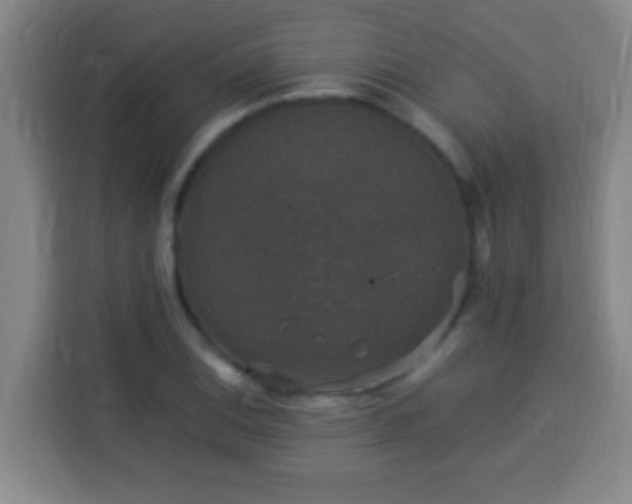 X0000113951124200910021500