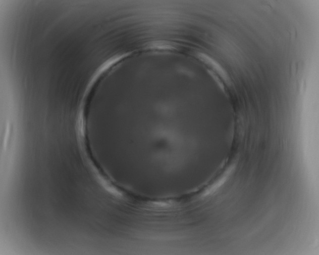 X0000113951125200910021500