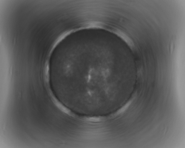 X0000113951126200910021500