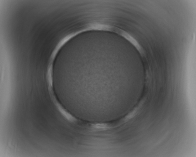 X0000113951128200910021500
