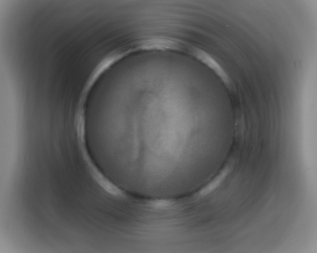 X0000113951130200910021500