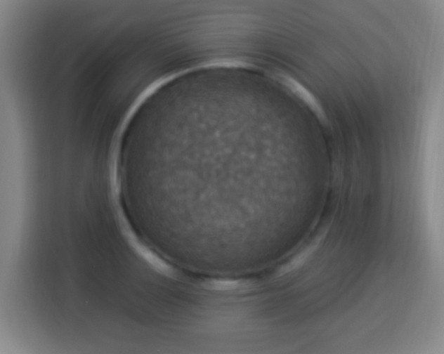 X0000113951132200910021500