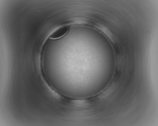 X0000113951134200910021500