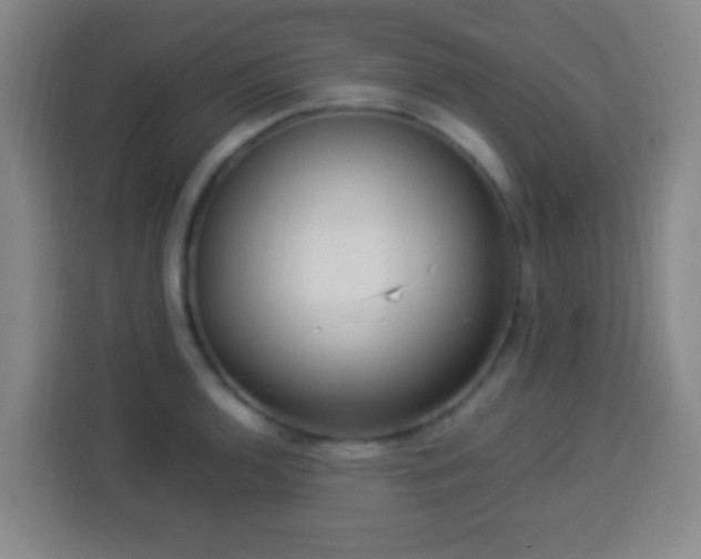 X0000113951136200910021500