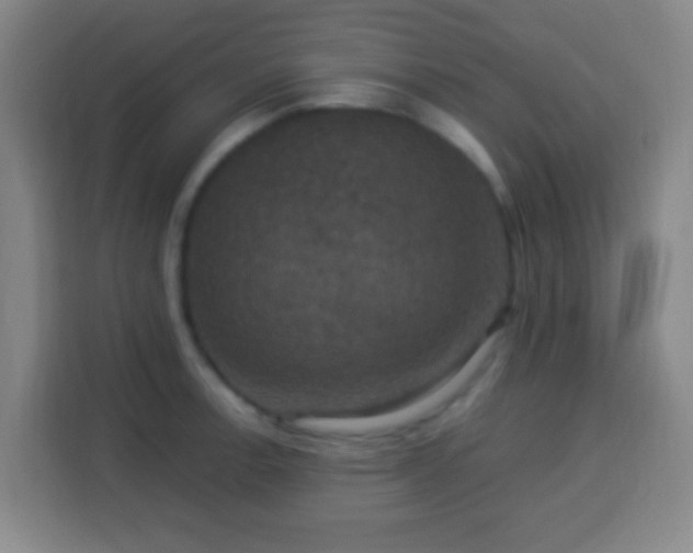X0000113951138200910021500