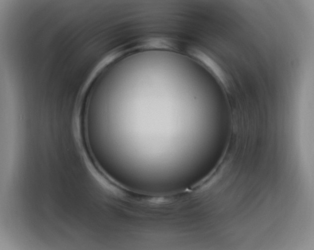X0000113951139200910021500