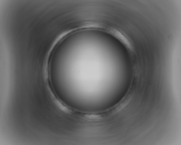 X0000113951140200910021500