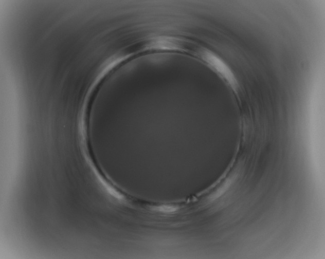 X0000113951141200910021500