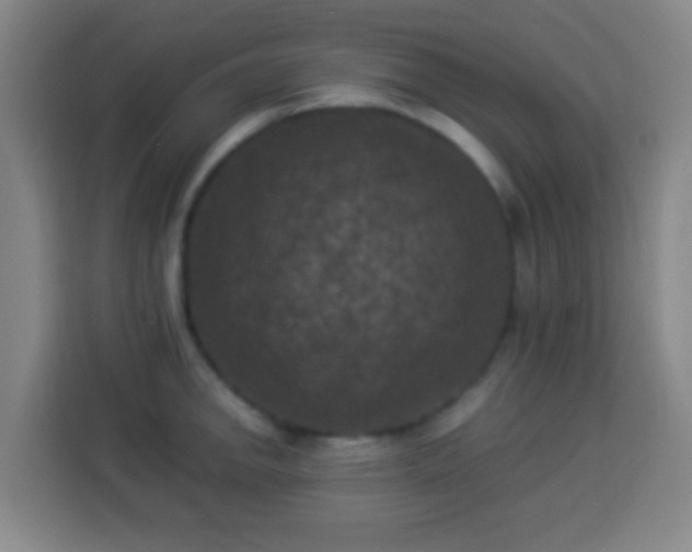 X0000113951142200910021500