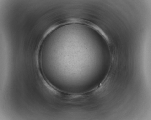 X0000113951143200910021500