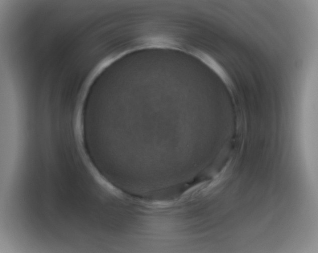 X0000113951144200910021500