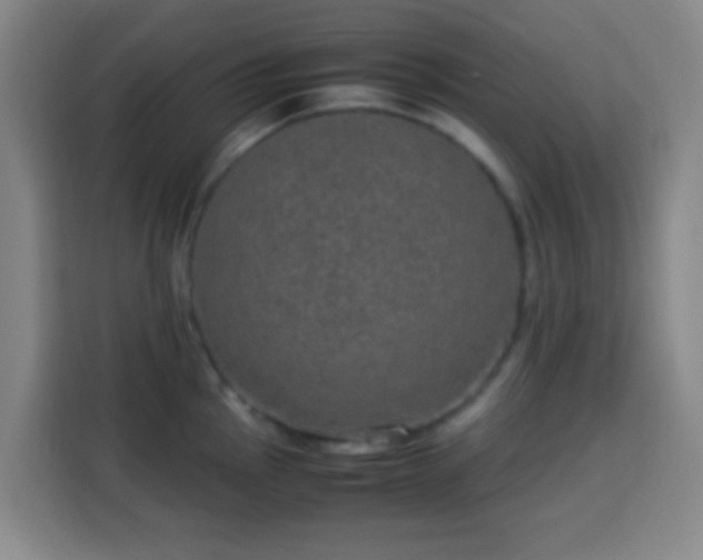 X0000113951145200910021500