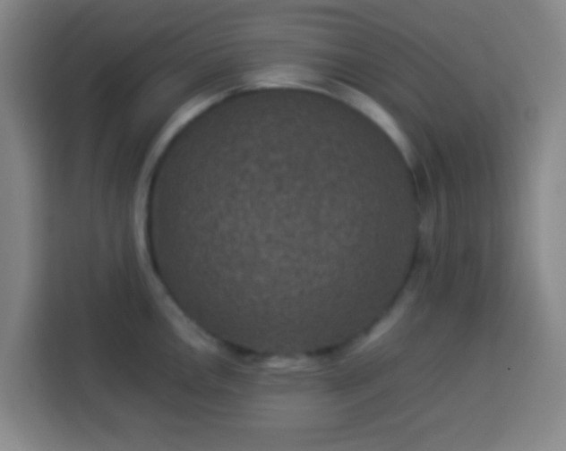 X0000113951146200910021500