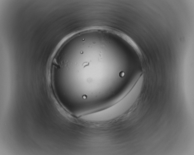 X0000113951148200910021500