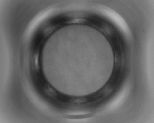 X0000113951150200910021501