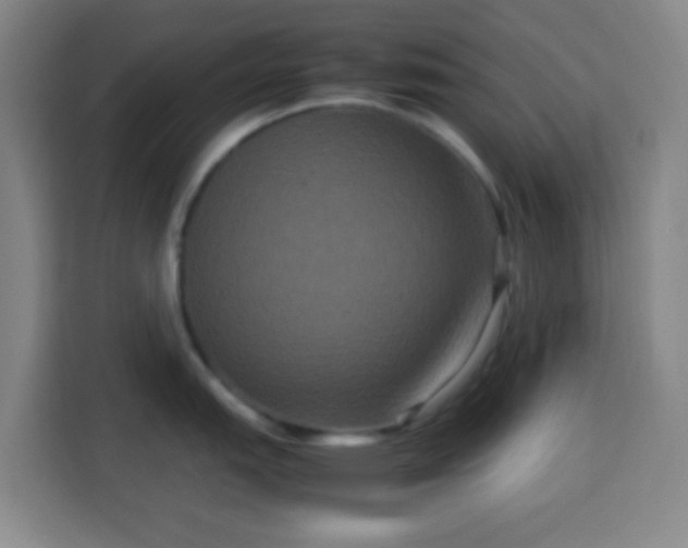 X0000113951151200910021501
