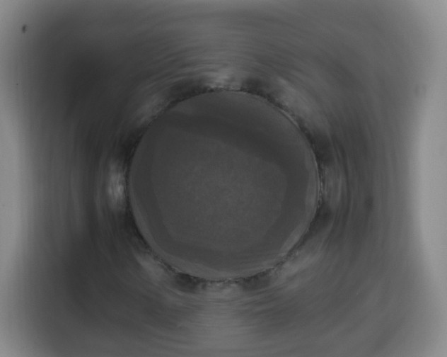 X0000113951154200910021500