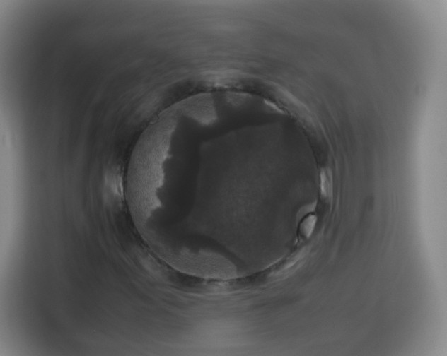 X0000113951155200910021500