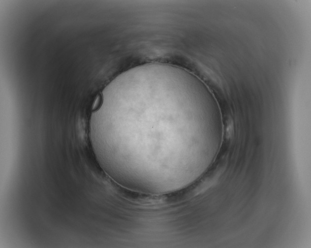 X0000113951156200910021500