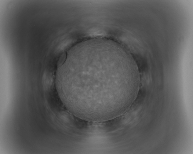 X0000113951157200910021500