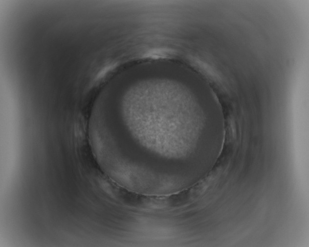 X0000113951158200910021500