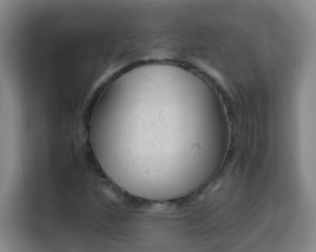 X0000113951160200910021500