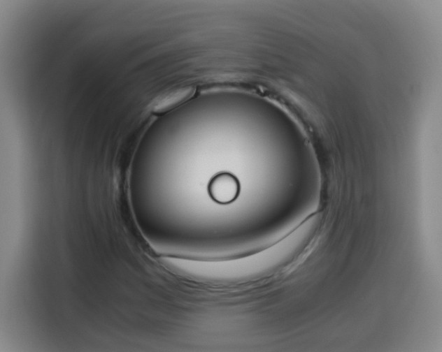 X0000113951161200910021500