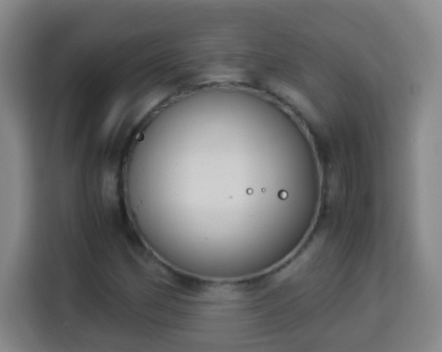 X0000113951162200910021500