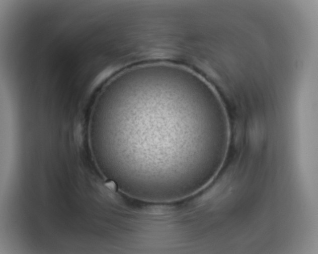 X0000113951163200910021500