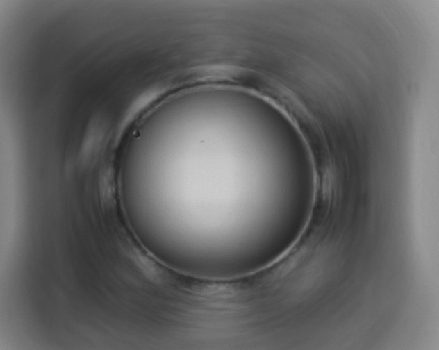 X0000113951164200910021500