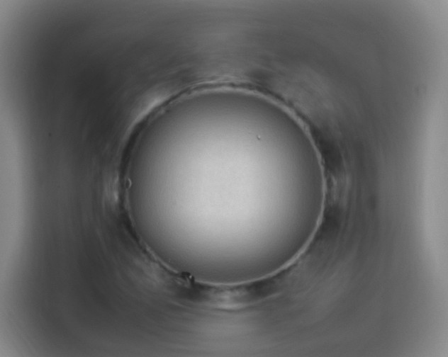 X0000113951165200910021500
