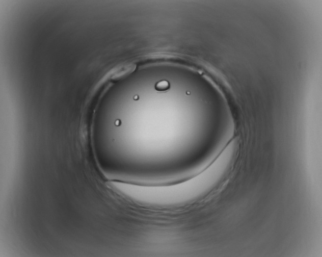 X0000113951167200910021500