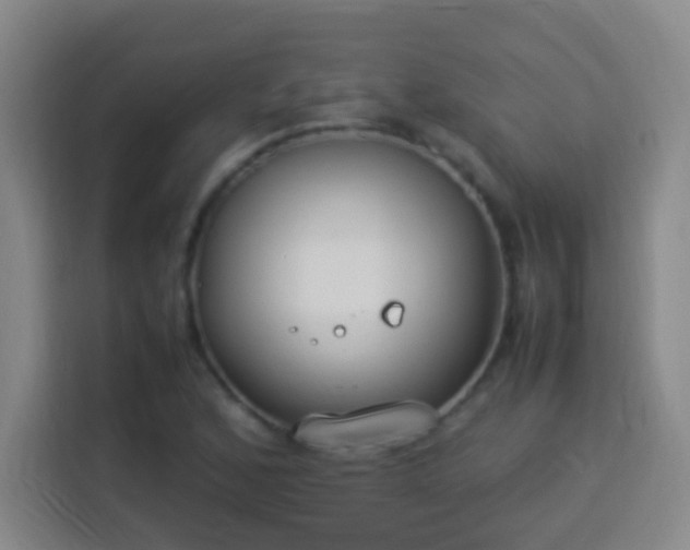 X0000113951168200910021500