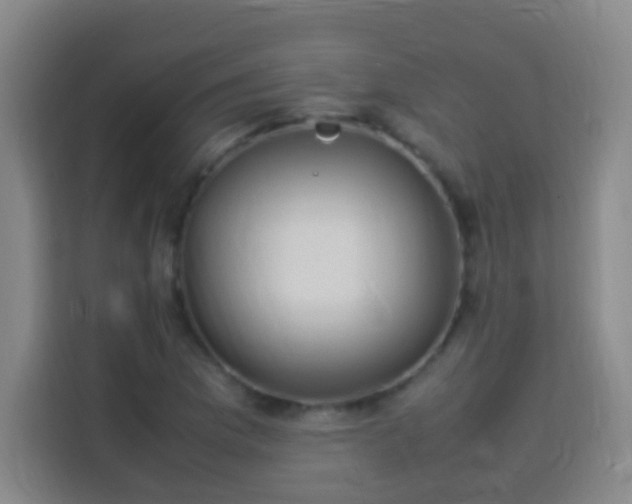 X0000113951169200910021500