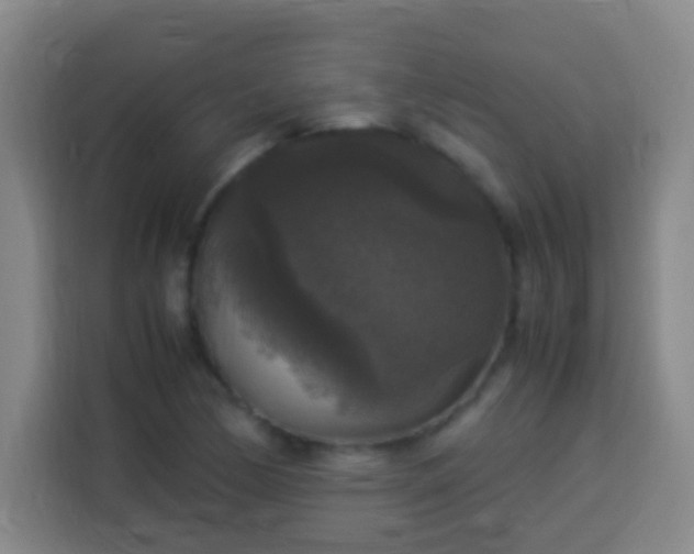 X0000113951170200910021500