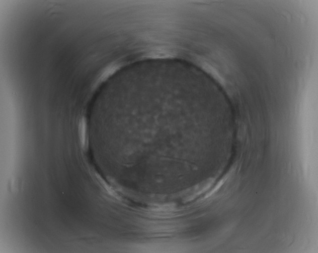 X0000113951171200910021500