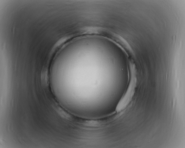 X0000113951172200910021500