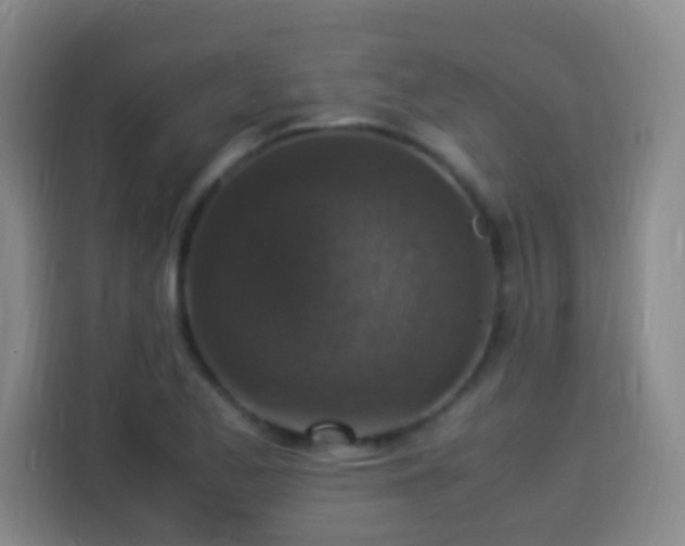 X0000113951173200910021500