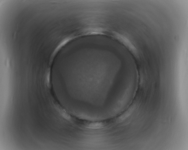 X0000113951174200910021500