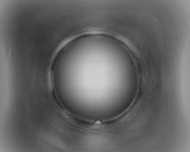 X0000113951175200910021500