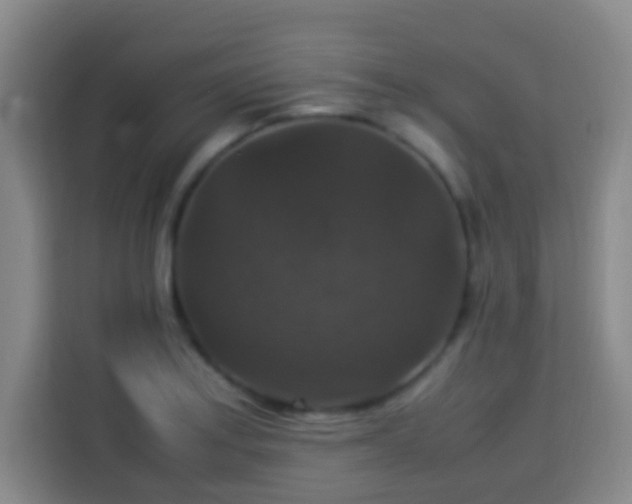 X0000113951179200910021500