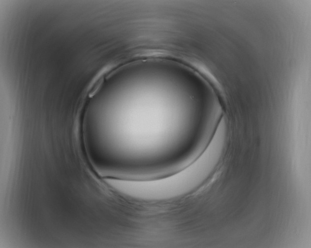X0000113951181200910021500