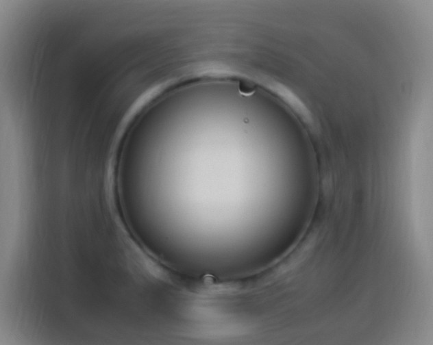 X0000113951183200910021500