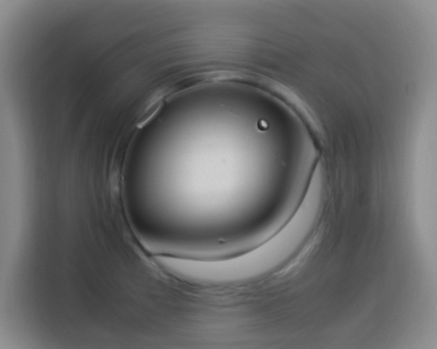 X0000113951185200910021459
