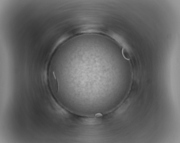 X0000113951189200910021459