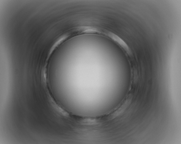 X0000113951190200910021459