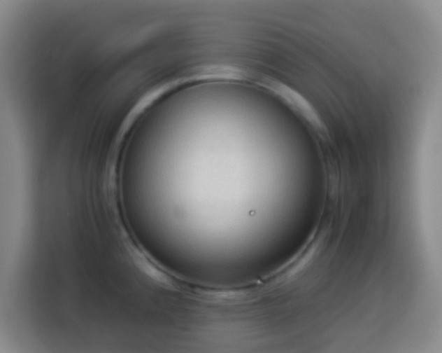 X0000113951192200910021459