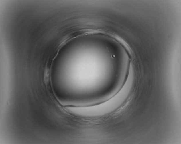 X0000113951193200910021459